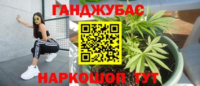 соль ск Кингисепп