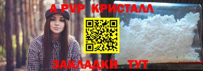 соль ск Кингисепп