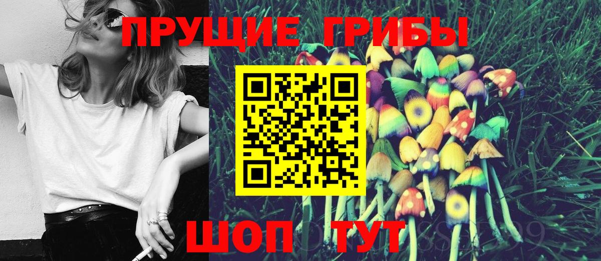 Псилоцибиновые грибы мухоморы Конаково
