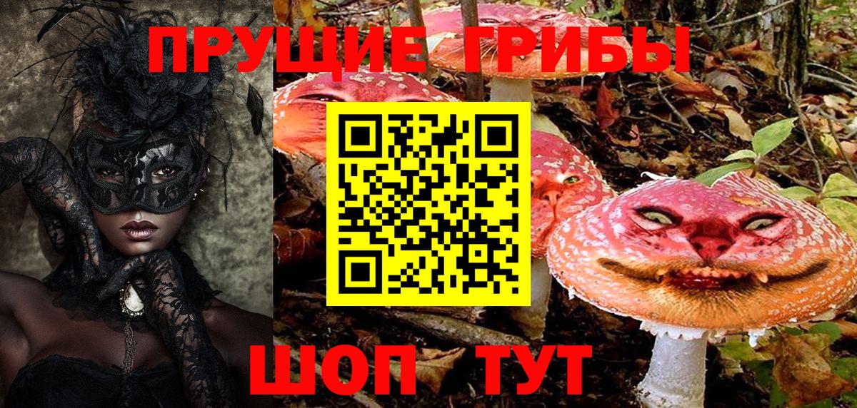 Псилоцибиновые грибы Cubensis  Вход с VPN  Псилоцибиновые грибы Cubensis  Конаково 